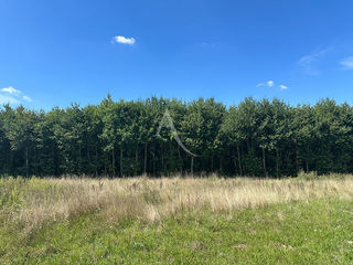  Terrain � vendre 970 m�