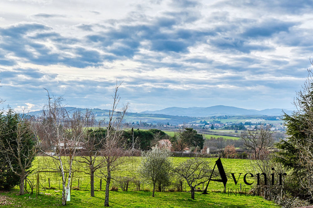 � vendre  Maison Dommartin (69380)