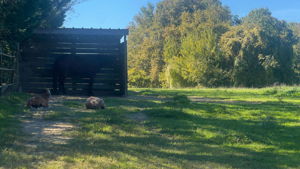 � vendre  Maison Nogaro (32110)