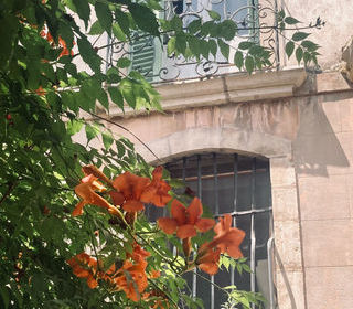  Maison � louer 10 pi�ces 380 m� Pignans