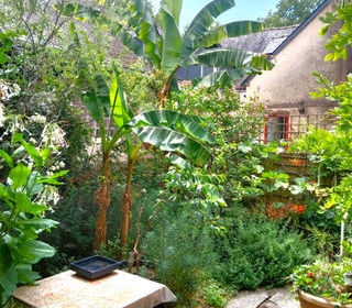  Immeuble � vendre 7 pi�ces 