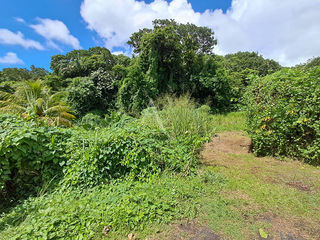  Terrain � vendre 2167 m�