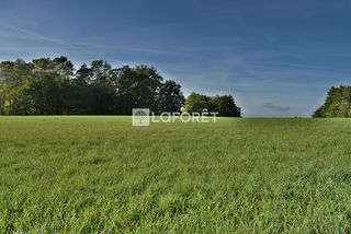  Terrain � vendre 14800 m�