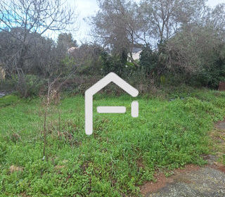  Terrain � vendre 880 m�