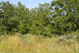  Terrain � vendre 1748 m�