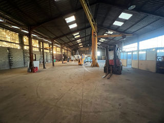  Immeuble � vendre 3 pi�ces 810 m�