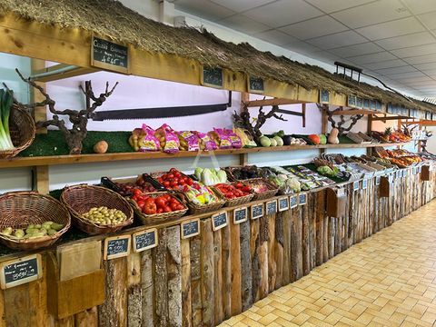 FOND DE COMMERCE A VENDRE A CARCASSONNE 69900 11000 Carcassonne