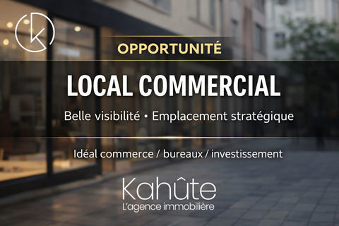TRES RAREMURS COMMERCIAUX avec bonne et fiable rentabilit&eacute; 273600 69007 Lyon