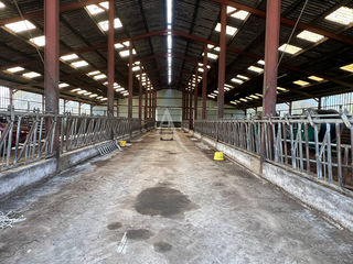  Terrain � vendre 5 pi�ces 116 m�