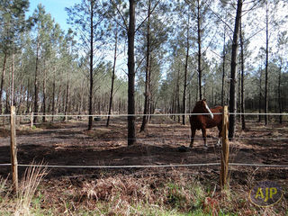  Maison � vendre 7 pi�ces 132 m�