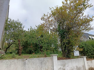  Terrain � vendre 431 m�