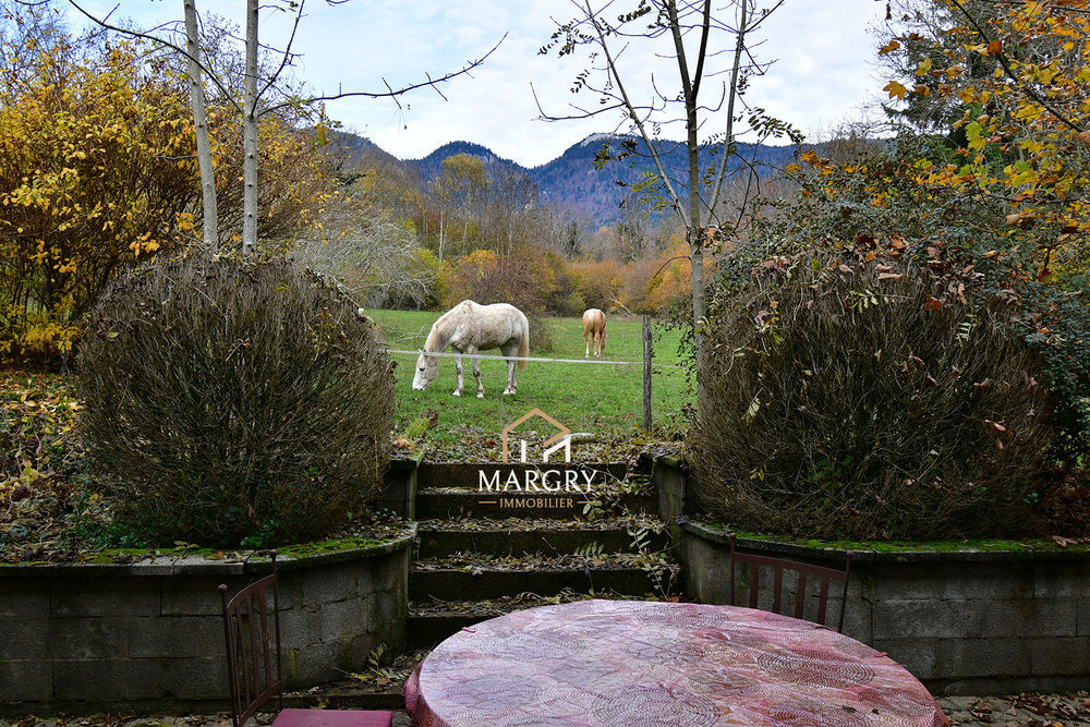 � vendre  Maison Gex (01170)