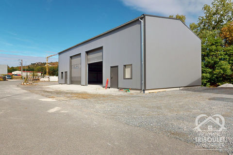 Entrep&ocirc;t / local industriel 1600 69220 Belleville en beaujolais