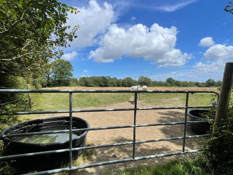   Propri�t� �questre Maison - 145935 m�