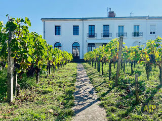  Villa � vendre 6 pi�ces 212 m�