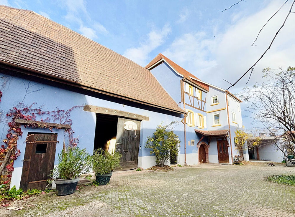 � vendre  Maison Hattstatt (68420)