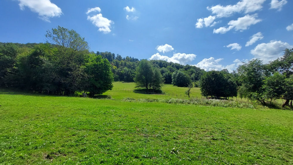 � vendre  Maison Montb�liard (25200)