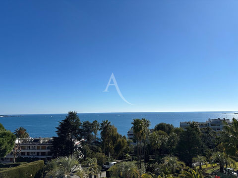   Studio proche  Centre de Cannes Appartement - 1 pi�ce(s) - 19 m�