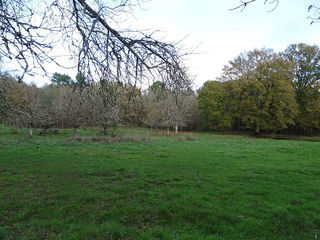  Terrain � vendre 2380 m�