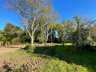  Terrain � vendre 569 m�