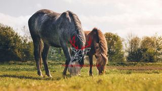  Terrain � vendre 4200 m�