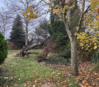  Terrain � vendre 1265 m�