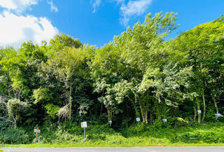  Terrain � vendre 1177 m�