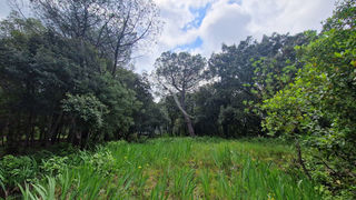  Terrain � vendre 2516 m�