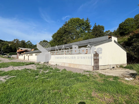 LOCAL 500m&sup2; avec terrain de 1000m&sup2; 680 42430 Cherier