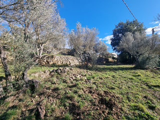  Terrain � vendre 900 m�