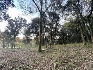  Terrain � vendre 800 m�