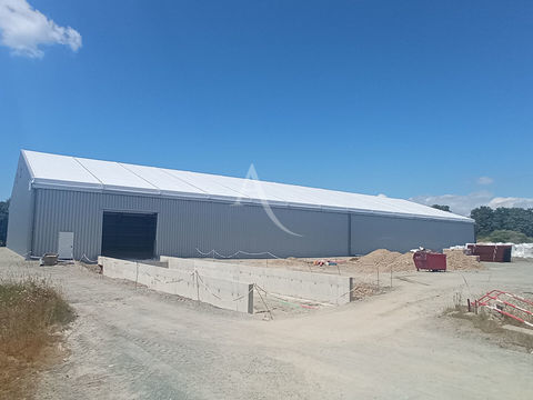 A LOUER LOCAL DE STOCKAGE ALLANT DE 150 m&sup2; &agrave; 1000 m&sup2; A SALLERTAINE 5000 85300 Sallertaine