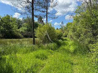  Terrain � vendre 3056 m�