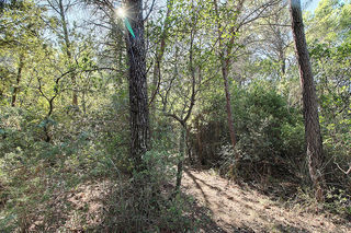  Terrain � vendre 104010 m�