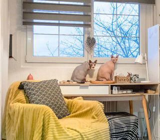  Maison � vendre 10 pi�ces 244 m�