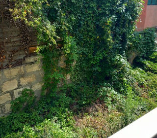  Appartement � louer 1 pi�ce 