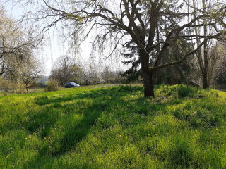  Maison � vendre 2 pi�ces 60 m�