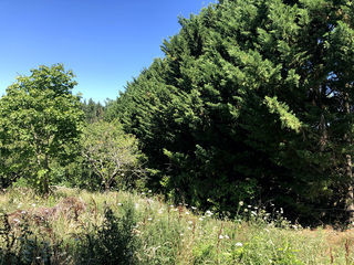  Terrain � vendre 1371 m�