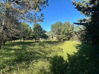  Terrain � vendre 564 m�