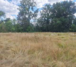  Terrain � vendre 2466 m�