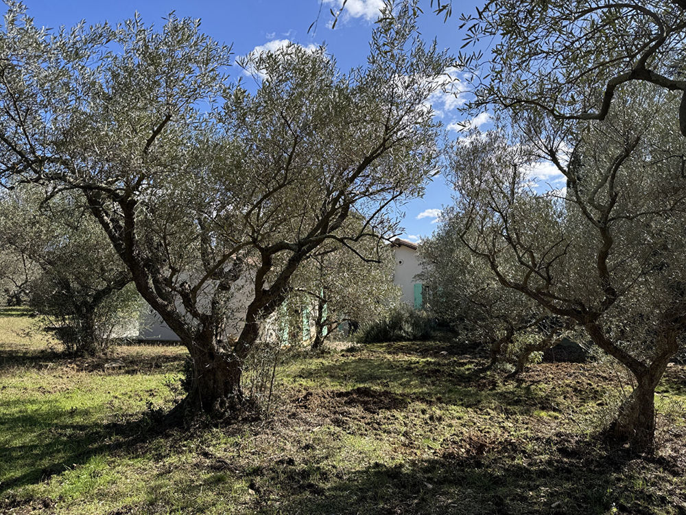 � vendre  Maison Villeneuve-l�s-Avignon (30400)