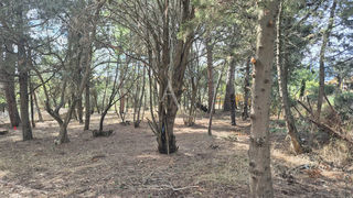  Terrain � vendre 842 m�