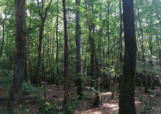  Terrain � vendre 1177 m�