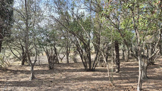  Terrain � vendre 737 m�