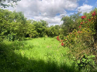  Terrain � vendre 1274 m�