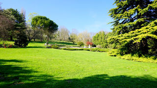  Maison � vendre 14 pi�ces 319 m�