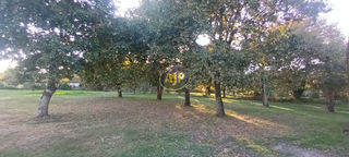  Maison � vendre 2 pi�ces 40 m�