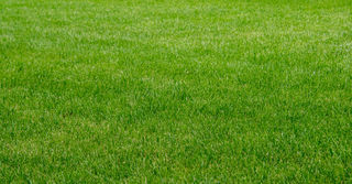  Terrain � vendre 1390 m�