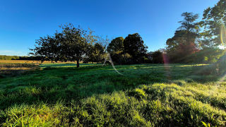  Terrain � vendre 3140 m�