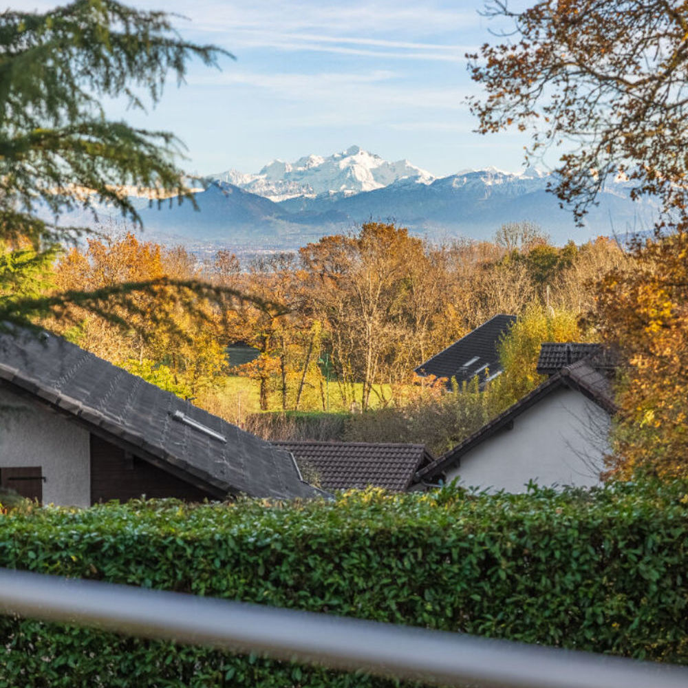 � vendre  Maison �chenevex (01170)